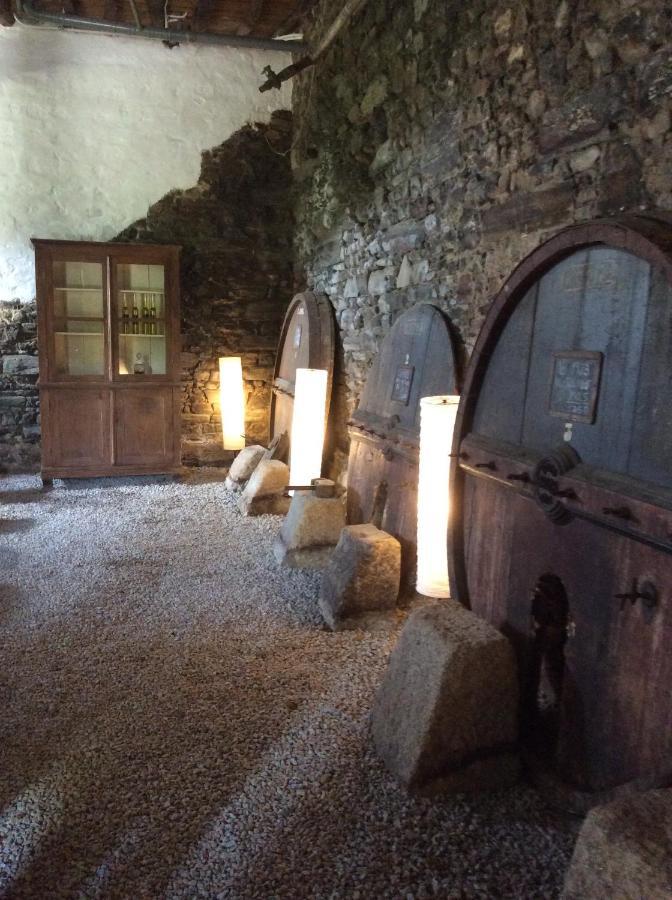 Bed and Breakfast Quinta Do Fojo Lamego Exterior foto