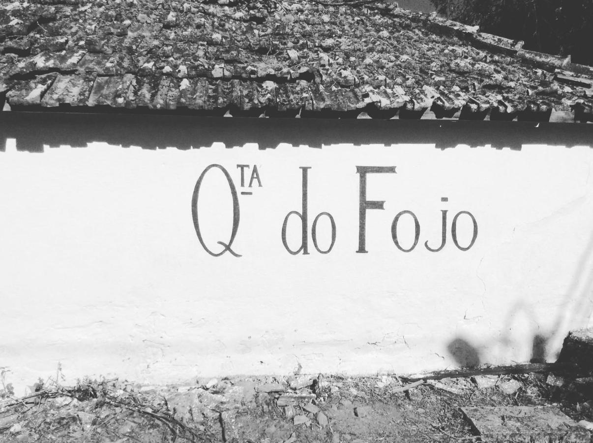 Bed and Breakfast Quinta Do Fojo Lamego Exterior foto