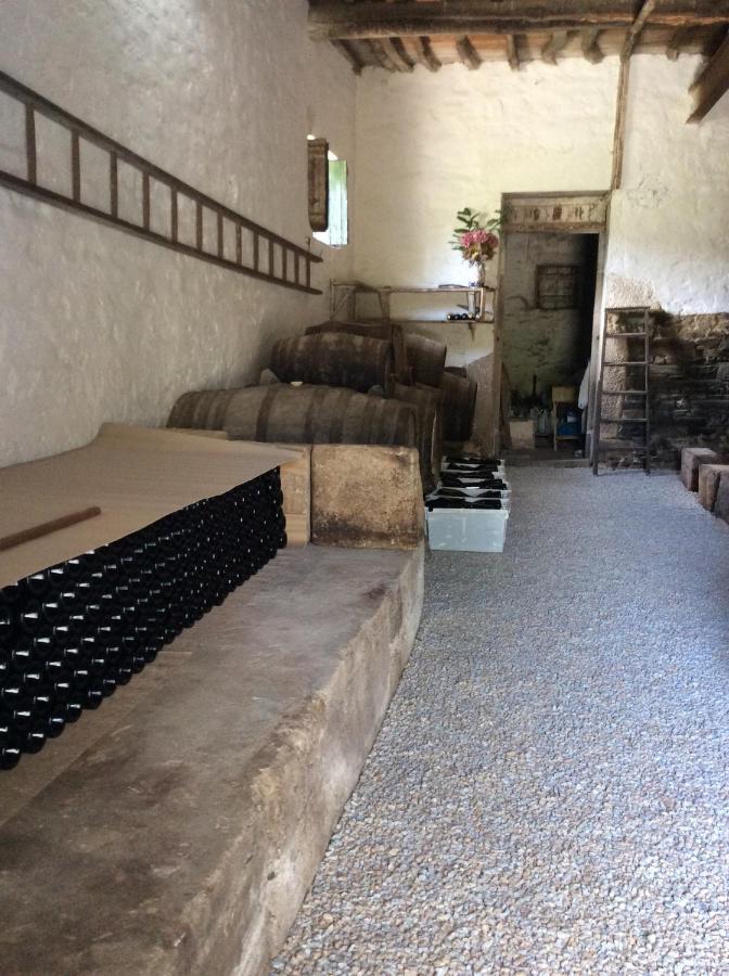 Bed and Breakfast Quinta Do Fojo Lamego Exterior foto