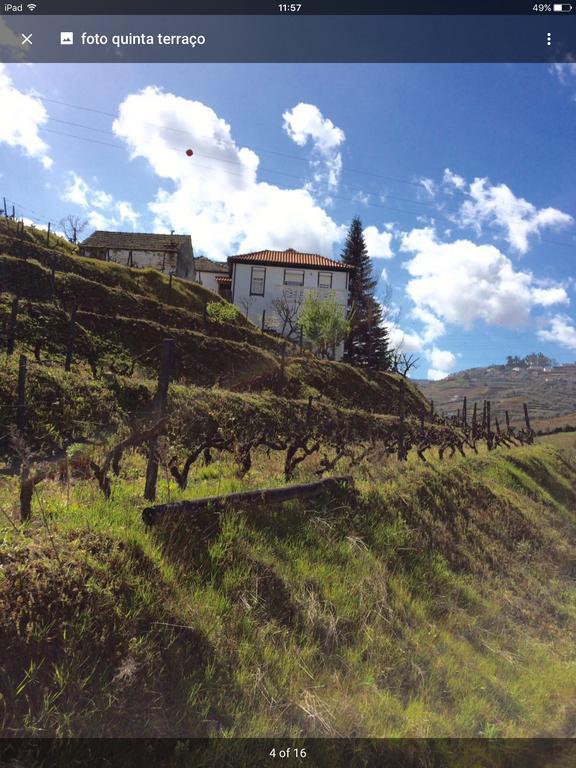 Bed and Breakfast Quinta Do Fojo Lamego Exterior foto