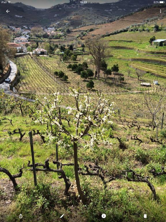 Bed and Breakfast Quinta Do Fojo Lamego Exterior foto