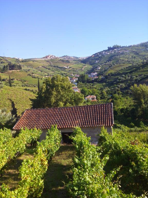 Bed and Breakfast Quinta Do Fojo Lamego Exterior foto